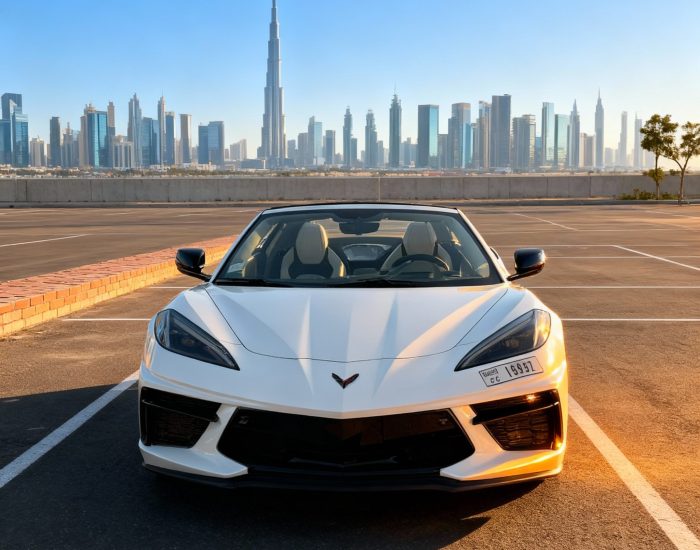 CORVETTE C8 2023 (14)