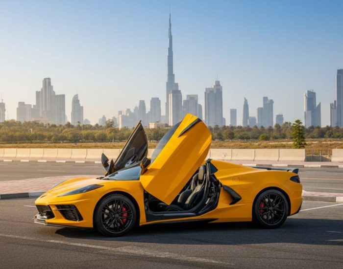 CORVETTE C8 2023 (3)